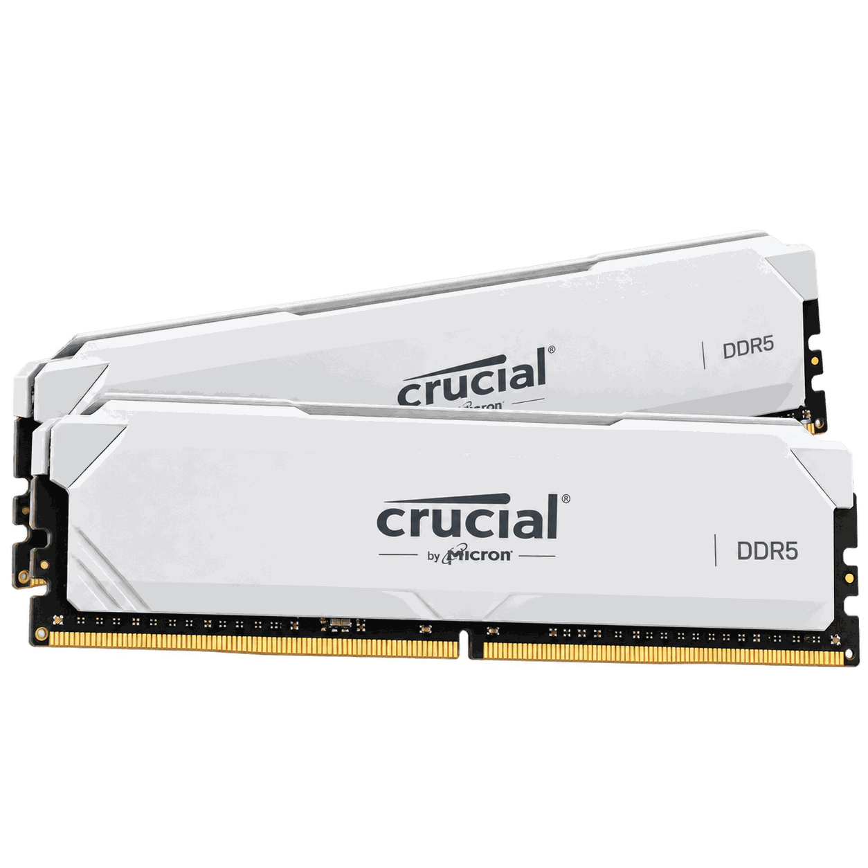 Crucial DDR5 32GB